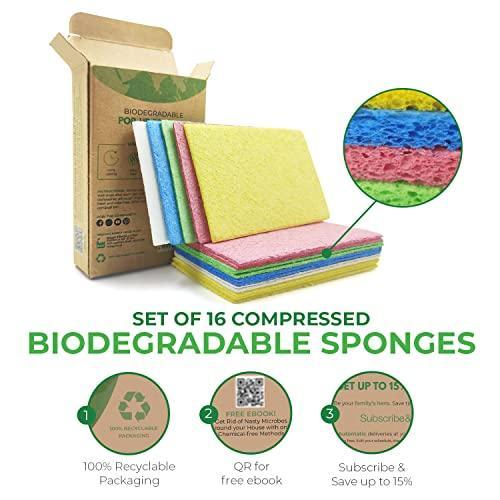 AIRNEX Biodegradable Cellulose Compressed Sponges - Pack of 16 Kitchen Sponges for Cleaning - Heavy Duty and Natural Multipurpose Household Cleaning Sponges Good for Kitchen, Bathroom, and Surfaces - SHOP NO2CO2