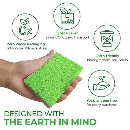 AIRNEX Biodegradable Cellulose Compressed Sponges - Pack of 16 Kitchen Sponges for Cleaning - Heavy Duty and Natural Multipurpose Household Cleaning Sponges Good for Kitchen, Bathroom, and Surfaces - SHOP NO2CO2