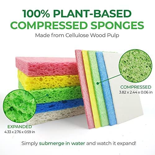 AIRNEX Biodegradable Cellulose Compressed Sponges - Pack of 32 Kitchen Sponges for Cleaning - Heavy Duty and Natural Multipurpose Household Cleaning Sponges Good for Kitchen, Bathroom, and Surfaces - SHOP NO2CO2