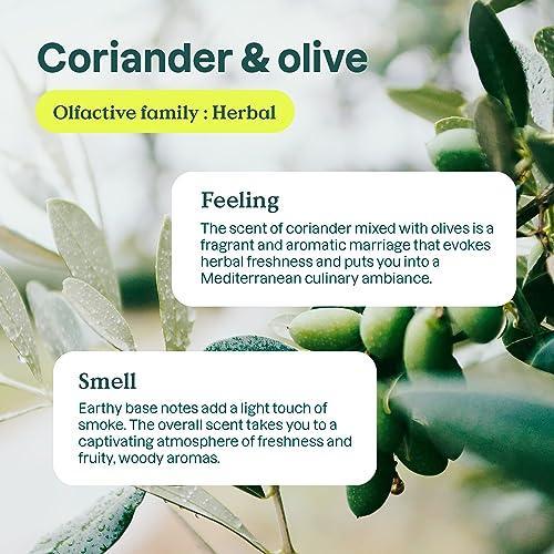 ATTITUDE Foaming Hand Soap, Plant and Mineral-Based Ingredients, Vegan and Cruelty-free Personal Care Products, Coriander & Olive, 10 Fl Oz (Pack of 6) - SHOP NO2CO2