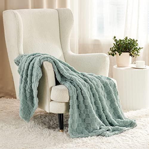 Bedsure Fleece Throw Blanket for Couch - Super Soft Cozy Blankets for Women, Cute Small Blanket for Girls, Sage Green, 50x60 Inches - SHOP NO2CO2