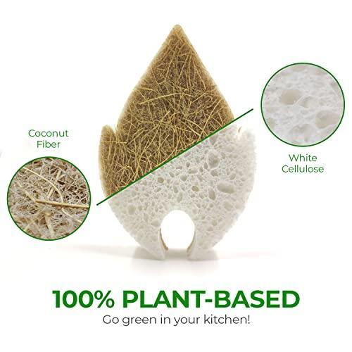 Biodegradable Natural Kitchen Sponge - Compostable Cellulose and Coconut Walnut Scrubber Sponge - Pack of 6 Eco Friendly Sponges for Dishes - SHOP NO2CO2