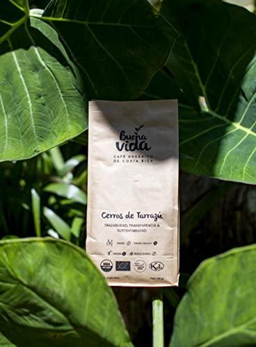 Buena Vida Organic Specialty Coffee - Costa Rica Coffee, Fair trade, Kosher, USDA Organic, Special Blend Whole Bean 12 oz - SHOP NO2CO2