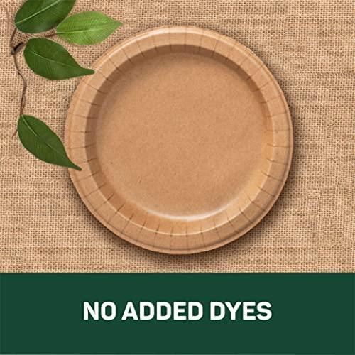 Dixie EcoSmart from The Makers of Dixie 100% Recycled Fiber Paper Plates, 8.5in Lunch or Light Dinner Size Disposable, 50 Eco-Friendly Plates - SHOP NO2CO2