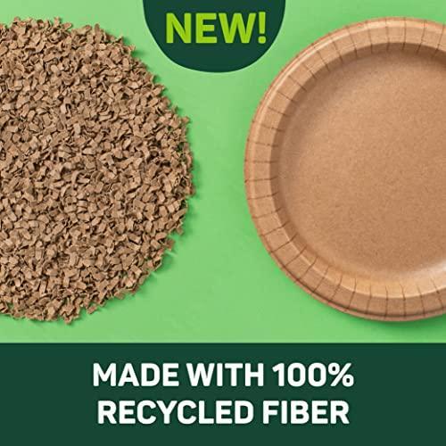 Dixie EcoSmart from The Makers of Dixie 100% Recycled Fiber Paper Plates, 8.5in Lunch or Light Dinner Size Disposable, 50 Eco-Friendly Plates - SHOP NO2CO2