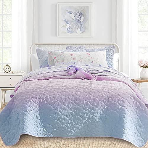 DREAMCLOUD HOME Quilt Set King Size 3 Piece, Bailey Pattern Printed Bedding Coverlet Set, Lightweight Soft Reversible Bedspread Sets for All Season (1 Quilt & 2 Pillow Shams) - SHOP NO2CO2