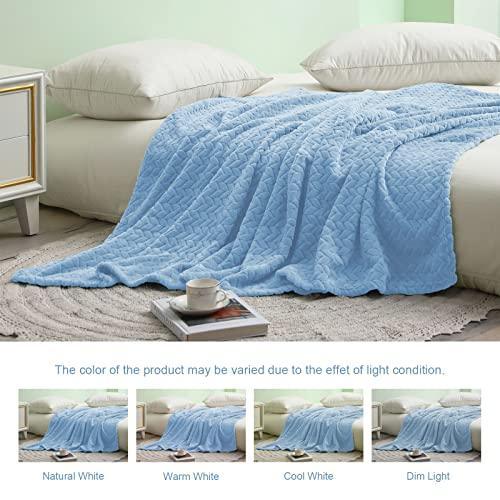 Exclusivo Mezcla Extra Large Flannel Fleece Throw Blanket, 50x70 Inches Leaves Pattern Soft Throw Blanket for Couch, Cozy, Warm, and Lightweight Blanket for Winter, Baby Blue Blanket - SHOP NO2CO2