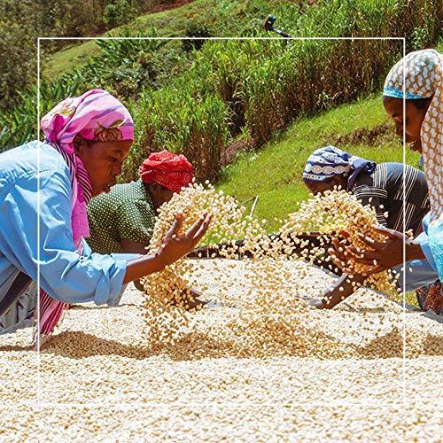 Grand Parade Coffee, 5 Lbs Unroasted Green Coffee Beans - Rwanda Kivu Rainforest Alliance Certified - Women Produced Single Origin - Specialty Arabica - Fair Trade - SHOP NO2CO2