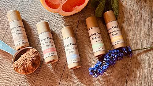 Handmade Natural Lip Balm Set of 5- Original, Mint, Cocoa, Lavender, Grapefruit - 5 Pack - SHOP NO2CO2