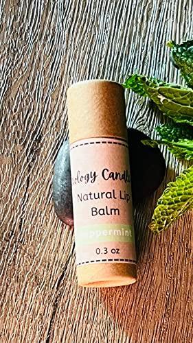 Handmade Natural Lip Balm Set of 5- Original, Mint, Cocoa, Lavender, Grapefruit - 5 Pack - SHOP NO2CO2