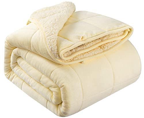 HBlife Sherpa Fleece Weighted Blanket for Adults, Oeko-Tex Certified 20 lbs Thick Fuzzy Bed Blanket, Heavy Reversible Soft Fluffy Plush Blanket with Premium Glass Beads 60X80 Inches, Dual Sided Cream - SHOP NO2CO2