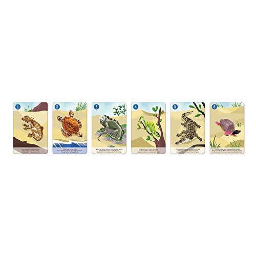 Janod World Wildlife Federation – Animal Kingdom Happy Families Card Game Set – for 2-6 Players - Ages 4-12 Years - J08634 - SHOP NO2CO2