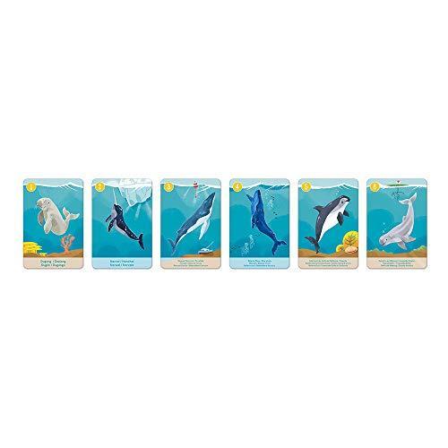 Janod World Wildlife Federation – Animal Kingdom Happy Families Card Game Set – for 2-6 Players - Ages 4-12 Years - J08634 - SHOP NO2CO2