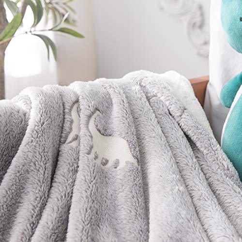 jinchan Dinosaur Glow in The Dark Blanket, Kids Throw Blanket for Boys and Girls Gift Grey Lightweight Flannel Fleece Throw Blankets for Couch Bed Warm Soft Cozy Throw Winter Baby Blankets 40x60 Inch - SHOP NO2CO2