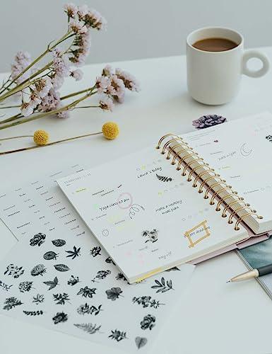 Kokonote Botanical 2024 Weekly Planner | 6.3" x 7.8" | August 2023 - December 2024 | Daily Weekly And Monthly Planner 2024 | Agenda 2024 Daily Planner | Hardcover Agenda With Planner Stickers | Stationery Gifts - SHOP NO2CO2