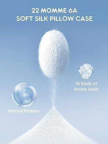 Mulberry Silk Pillowcase for Hair and Skin, SGMSILK 22 Momme Natural Silk Pillow Case with Hidden Zipper, 6A Soft and Smooth Single Sided Pure Silk Pillow Cover (White, Queen 20"x30") - SHOP NO2CO2