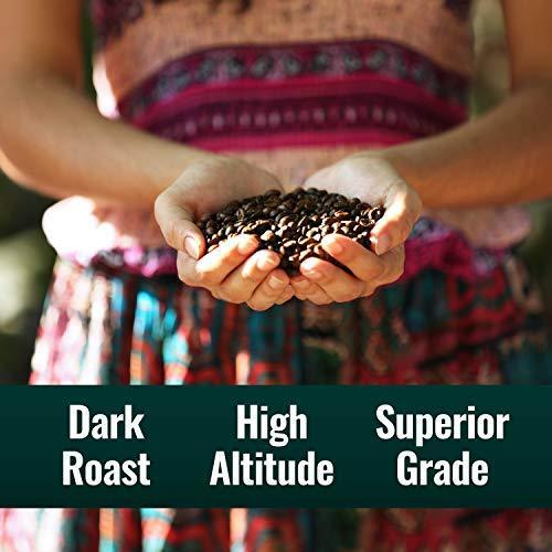 Natural Force - Organic Clean Coffee Dark, Mold & Mycotoxin Free, Lab Tested for Toxins & Purity, Low Acidity, Incredible Taste & Aroma, Founder's Select Whole Bean Dark Roast, 12 oz - SHOP NO2CO2