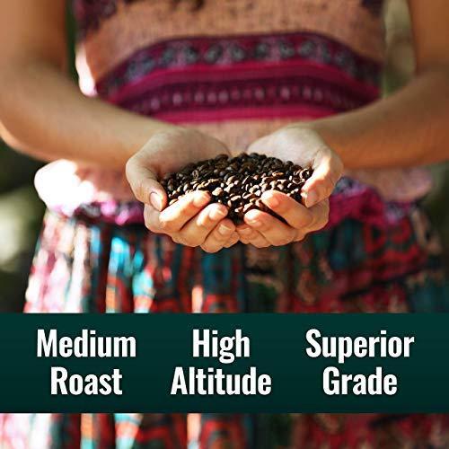 Natural Force - Organic Clean Decaf Coffee, Mold & Mycotoxin Free, Lab Tested for Toxins & Purity, Low Acidity, Whole Bean Swiss Water Decaf Medium Roast, 12 oz - SHOP NO2CO2