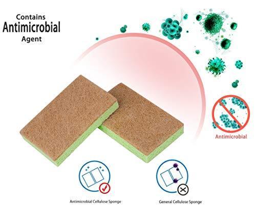 Natural Plant-Based Scrub Sponge by Scrub-it, Non-Scratch, Biodegradable scrubbing sponges with a Tough Anti-Bacterial scouring pad for Kitchen and Bathroom– 24 Pack - SHOP NO2CO2