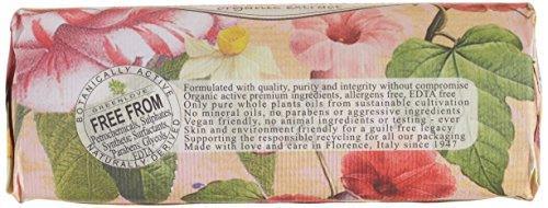 Nesti Dante Nesti dante bio natura sustainable vegetal soap - wild raspberry and nettle, 8.8oz, 8.8 Ounce - SHOP NO2CO2