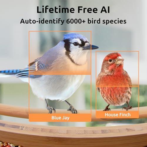 NETVUE Birdfy AI - Upgraded Smart Bird Feeder with Camera Solar Powered, Free AI Identify 6000+ Bird Species & Motion Detection, Eco-friendly & Renewable Bamboo Wood Camera, Ideal Gift for Bird Lovers - SHOP NO2CO2