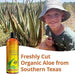 NEW Recovery After Sun Gel with Aloe Vera - For Skin & Face with Instant Sunburn Relief. Unlike Regular Aftersun Lotion, Ours Is Made From Freshly Cut Texas Aloe. With Mango & Chamomile (12 Fl Oz) - SHOP NO2CO2