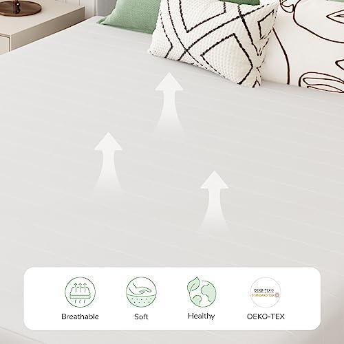 Novilla Queen Mattress 12 Inch Foam Mattress in a Box, Bamboo Charcoal Foam Mixed High Density Base Support Foam for a Peaceful Sleep, Pressure Relief, Medium Plush Queen Size Mattress with Tight Top - SHOP NO2CO2