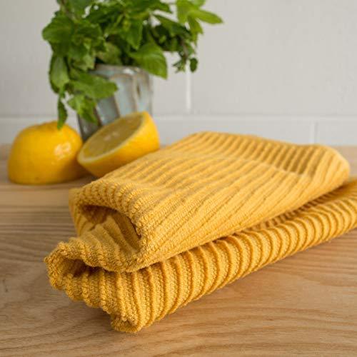 Now Designs Ripple Kitchen Dishcloth, Set of 4, Honey - SHOP NO2CO2