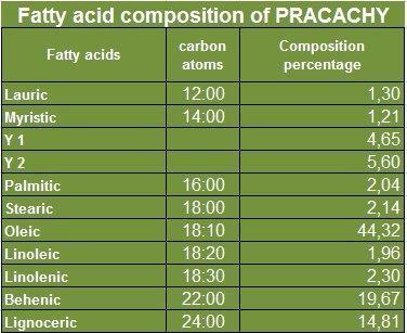 Paris Fragrances & Cosmetics Supplies, INC Pracachy Oil (Pracaxi Oil) (4 Oz) 100% Natural - Sustainable Product - SHOP NO2CO2