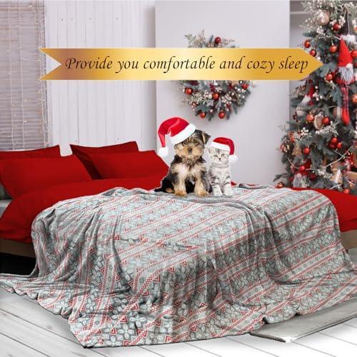 Renerhome Fleece Throw Blanket for Couch/Bed,Thick and Warm for Winter,Christmas Holiday Printed Soft and Fuzzy Large Blanket (Christmas Red White Snowflake Queen Size 90 X 90) - SHOP NO2CO2