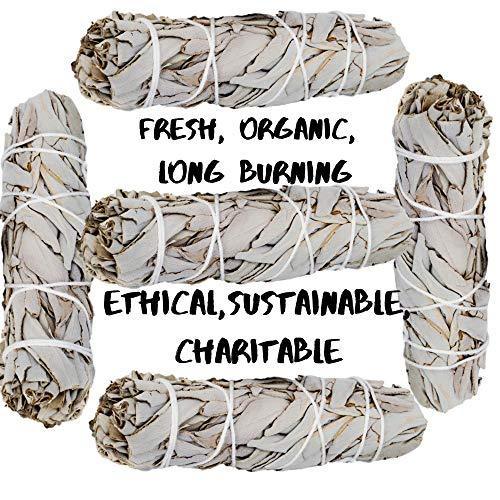 SAGE SMUDGE Sticks, 5 White Sage Bundles Bulk Refill & Shaman Smudge Kit Storage Bag! California White Sage Smudging Sticks, Organic Freshly Dried Incense Sage Stick Set, Sustainable! (5, Large Bag) - SHOP NO2CO2