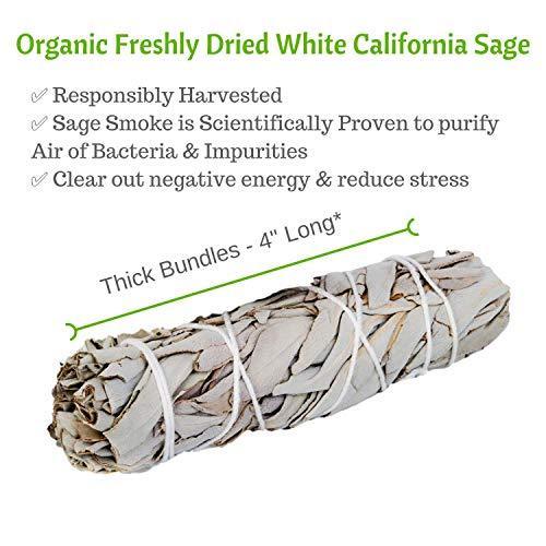 SAGE SMUDGE Sticks, 5 White Sage Bundles Bulk Refill & Shaman Smudge Kit Storage Bag! California White Sage Smudging Sticks, Organic Freshly Dried Incense Sage Stick Set, Sustainable! (5, Large Bag) - SHOP NO2CO2