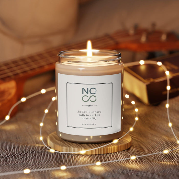 Scented Candle, 9oz - SHOP NO2CO2