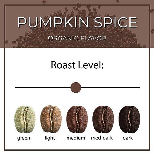 The Bean Organic Coffee Company Pumpkin Spice Coffee, Medium Roast, Ground Coffee, 16-Ounce Bag - SHOP NO2CO2