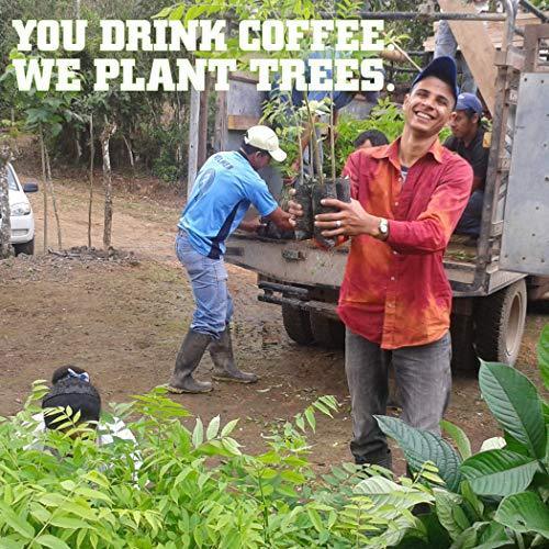 Tiny Footprint Coffee - Fair Trade Organic Nicaragua Segovia Dark Roast | Whole Bean Coffee | USDA Organic | Fair Trade Certified | Carbon Negative | 3 Pound - SHOP NO2CO2