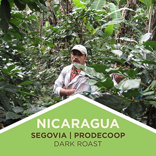 Tiny Footprint Coffee - Fair Trade Organic Nicaragua Segovia Dark Roast | Whole Bean Coffee | USDA Organic | Fair Trade Certified | Carbon Negative | 3 Pound - SHOP NO2CO2