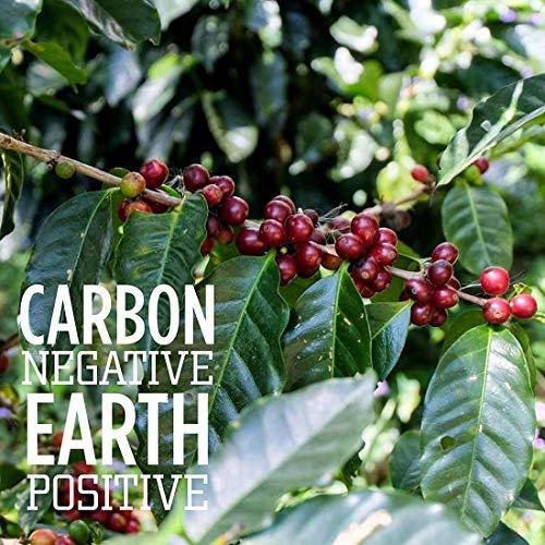 Tiny Footprint Coffee - Signature Blend, Light Roast, USDA Organic Coffee - Whole Bean Coffee, Fair Trade, Shade Grown & Carbon Negative - You Drink Coffee, We Plant Trees, 3 Pounds - SHOP NO2CO2