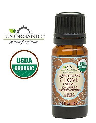 US Organic 100% Pure Clove Stem Essential Oil - USDA Certified Organic, Steam Distilled (10 ml) - SHOP NO2CO2