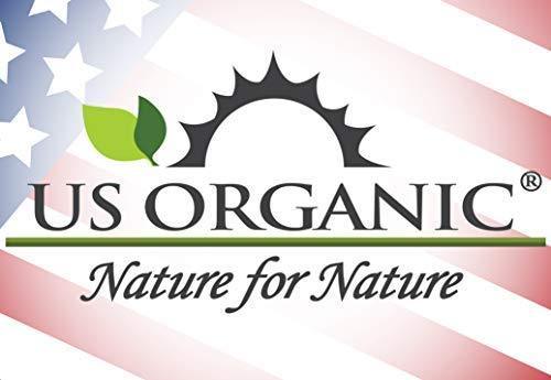 US Organic 100% Pure Clove Stem Essential Oil - USDA Certified Organic, Steam Distilled (10 ml) - SHOP NO2CO2