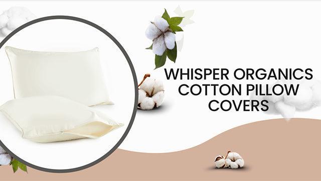 Whisper Organics Pillow Protector - GOTS Certified, 100% Cotton Pillow Encasements with Zipper - Pillow Covers - 20 x 26 Inches, Pack of 2 (Standard, Ivory) - SHOP NO2CO2