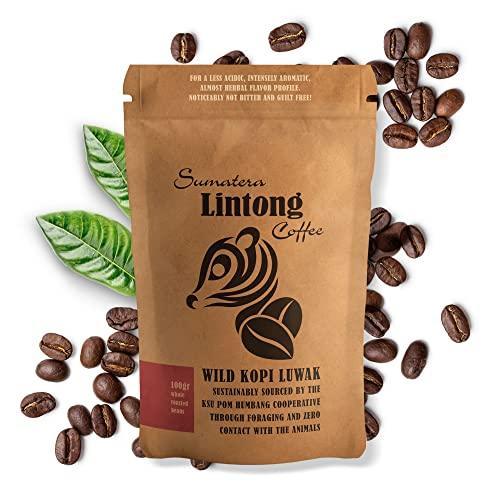 Wild Kopi Luwak, the World’s Most Exclusive Coffee, Sustainably Sourced From Sumatra, Indonesia (100gr / 3.5oz) - SHOP NO2CO2