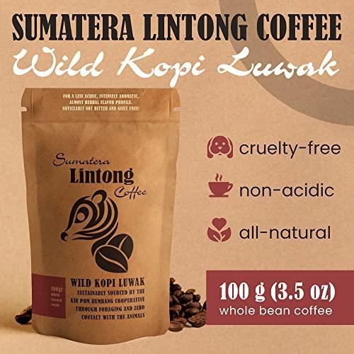 Wild Kopi Luwak, the World’s Most Exclusive Coffee, Sustainably Sourced From Sumatra, Indonesia (100gr / 3.5oz) - SHOP NO2CO2