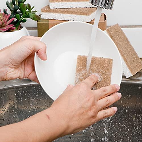 Zen Living Natural Sponge - Eco-Friendly Scrub Sponges for Kitchen - Non Scratch Odor Free Biodegradable Plant Based Scrubber Pads for Cleaning Dishes - Best Wooden Pulp Sponge (Brown-White, 6 Pack) - SHOP NO2CO2