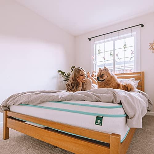 ZINUS 8 Inch Memory Foam Spring Hybrid Mattress / Euro Top Innerspring Mattress / Green Tea-Infused Foam / CertiPUR-US Certified / Mattress-in-a-Box, Full - SHOP NO2CO2